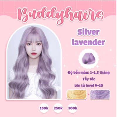 Silver Lavender