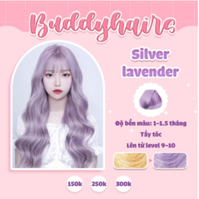 Silver Lavender